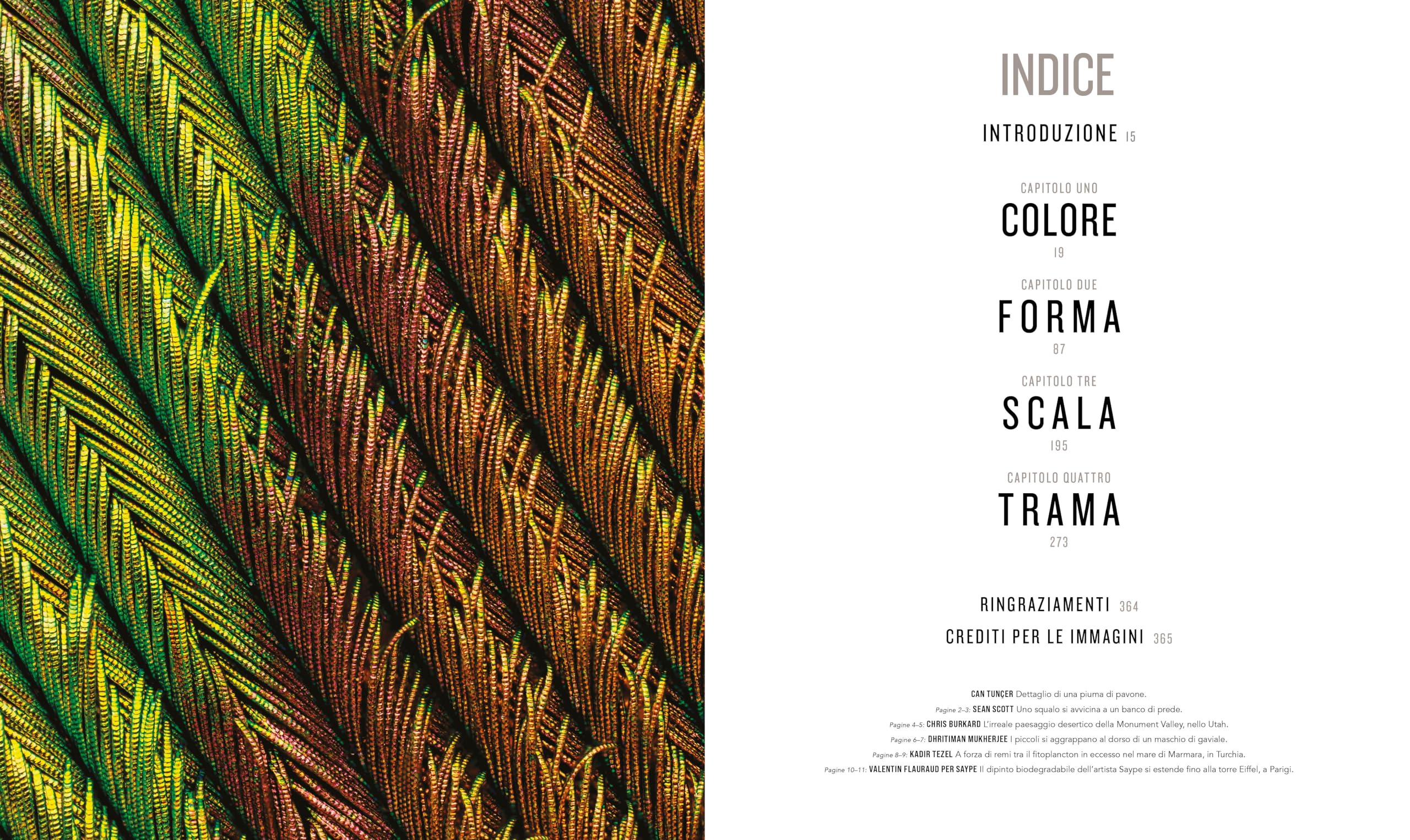 Il mondo dall'alto. Ediz. a colori