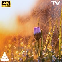 Rainfall Sleep Aid: Soothing Rain Sounds with Black Screen TV App