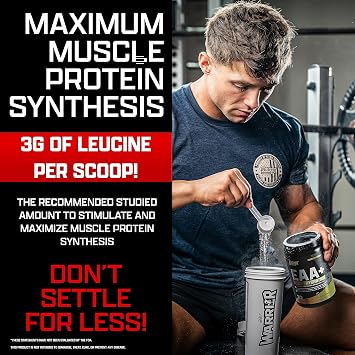 Nutrex Research EAA Hydration Blueberry Lemonade Aminos & Creatine Monohydrate Powder