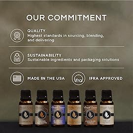 Eternal Essence Oils Orange Creamsicle 30ml Premium Fragrance Oil - for Candle, Soap Making, Aromatherapy, Diffusers, Home Care, & Humidifiers