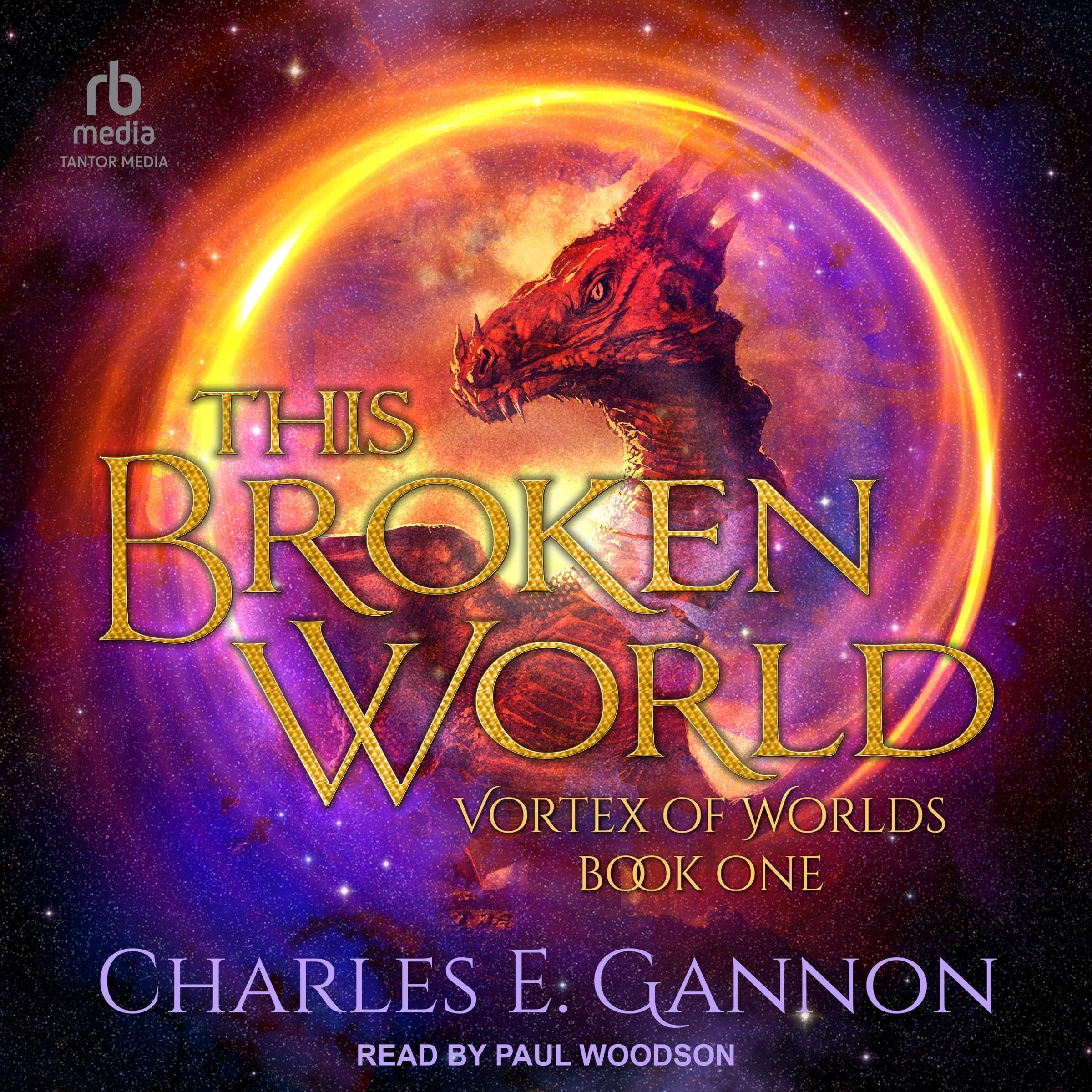 Cover art for This Broken World