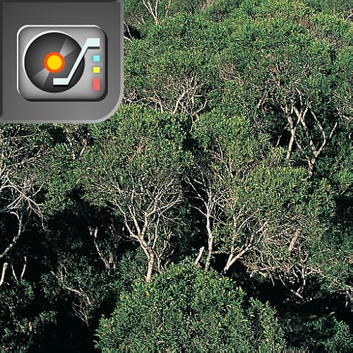 Slider Puzzle: House Green