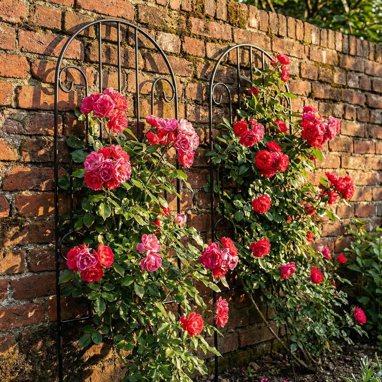 SCENDOR 2 Pack Arched Metal Garden Trellis for Climbing Plants 45" H x 15.9" W – Rustproof Iron Trellis with Decorative Scrollwork, Perfect for Roses, Clematis, Vines, and Patio Decor
