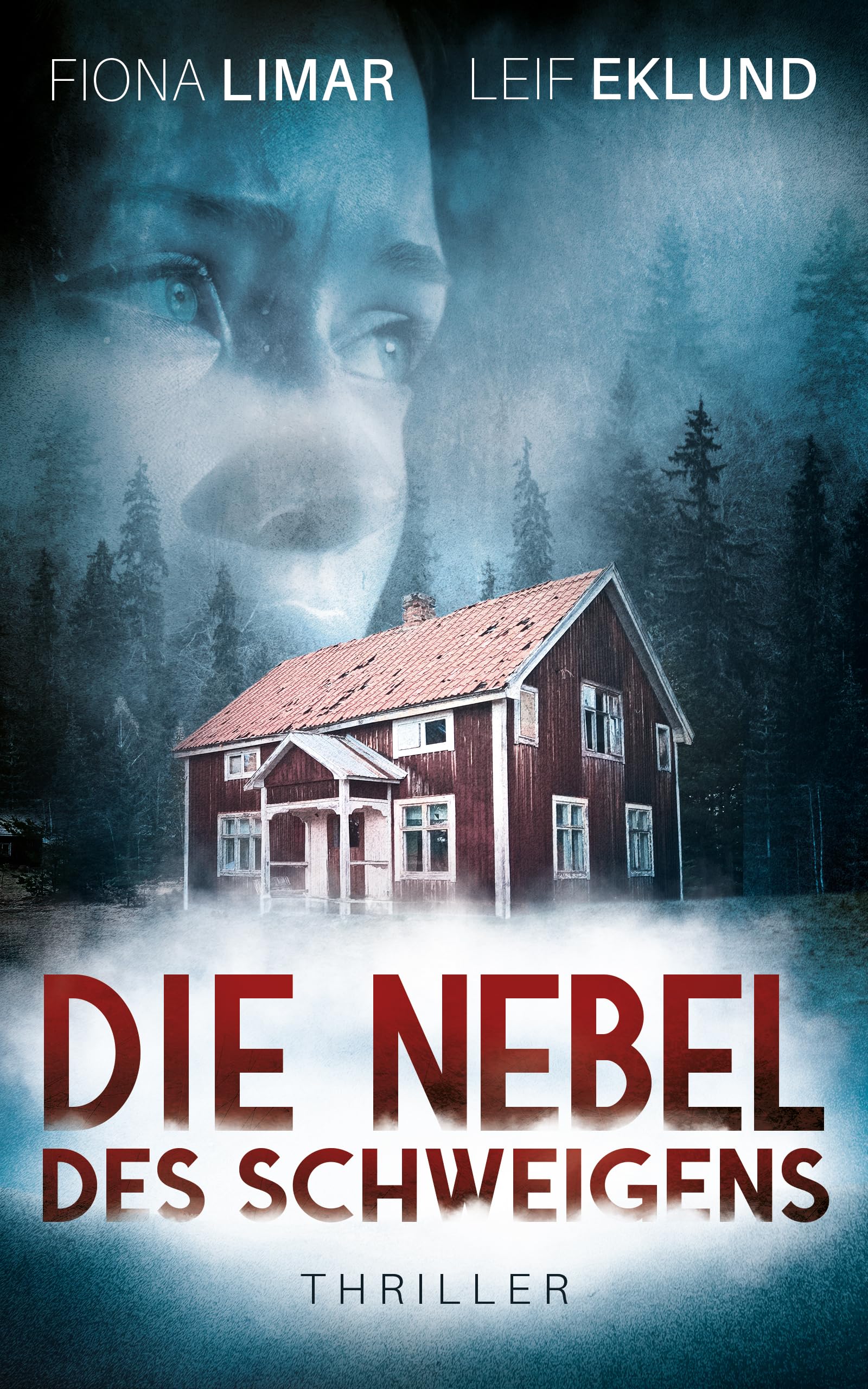 Die Nebel des Schweigens: Schwedenthriller