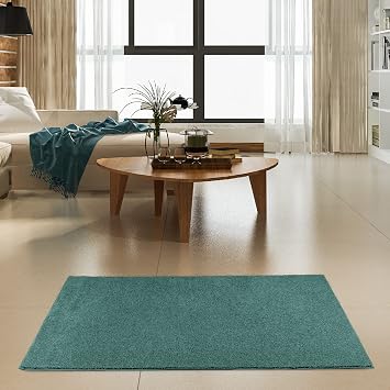 Ambiant Broadway Collection Kids Favourite Area Rugs Teal - 2 x 4 Rectangle, Indoor, Stain Resistant, Perfect for Living Room, Bedroom, Dining Room, Entryway, Pet & Kids Friendly Rug, Wedding