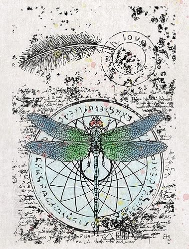 Miniatura 3 de Sellos transparentes de fondo de libélula con plumas, palabras de amor, sellos de goma transparente para hacer tarjetas, decoración de manualidades,