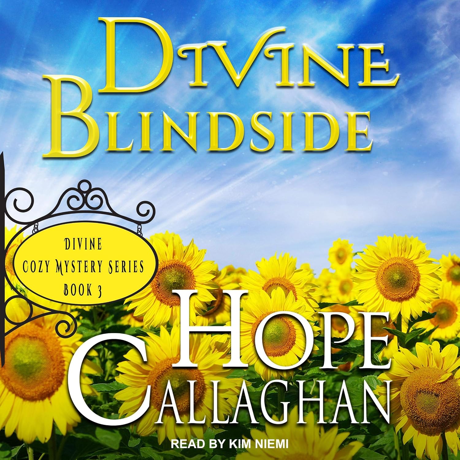 Divine Blindside: Divine Cozy Mysteries Series, Book 3