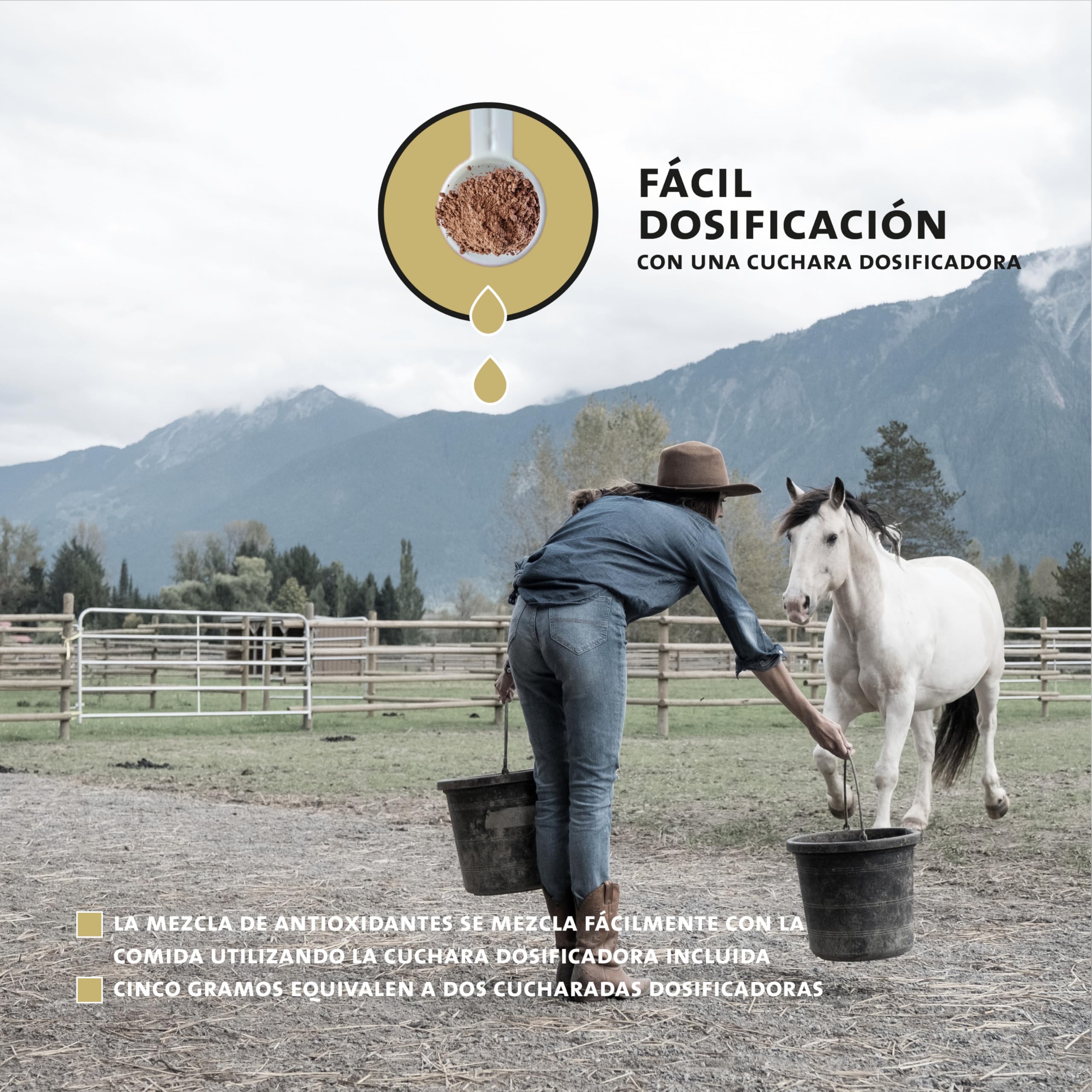 Peticare antioxidantes para Caballos | Apoyo al daño Celular y fortalecimiento inmunológico, Esfuerzo | con Ingredientes Naturales | para el estrés oxidativo | petHorse Health 4607