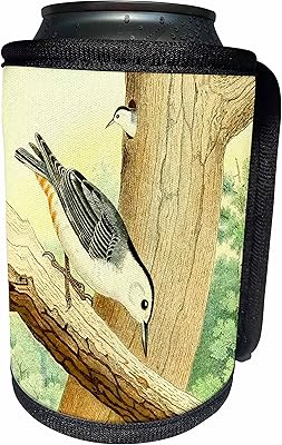 3dRose White-Breasted Nuthatch Vintage Bird Art Print nut... - Can Cooler Bottle Wrap (cc-364677-1)