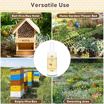 Beekeeping Hive Starter