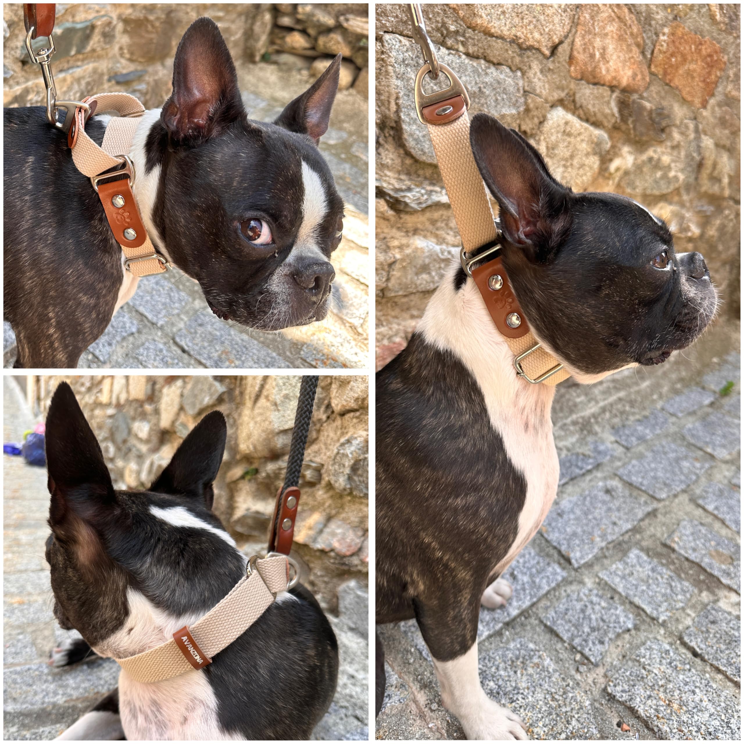 Martingale Dog Choke Collar, Antipull, Poly-Cotton and Leather. L. Beige & Cognac, Beige(Poly-cotton) & Cognac - Image 4