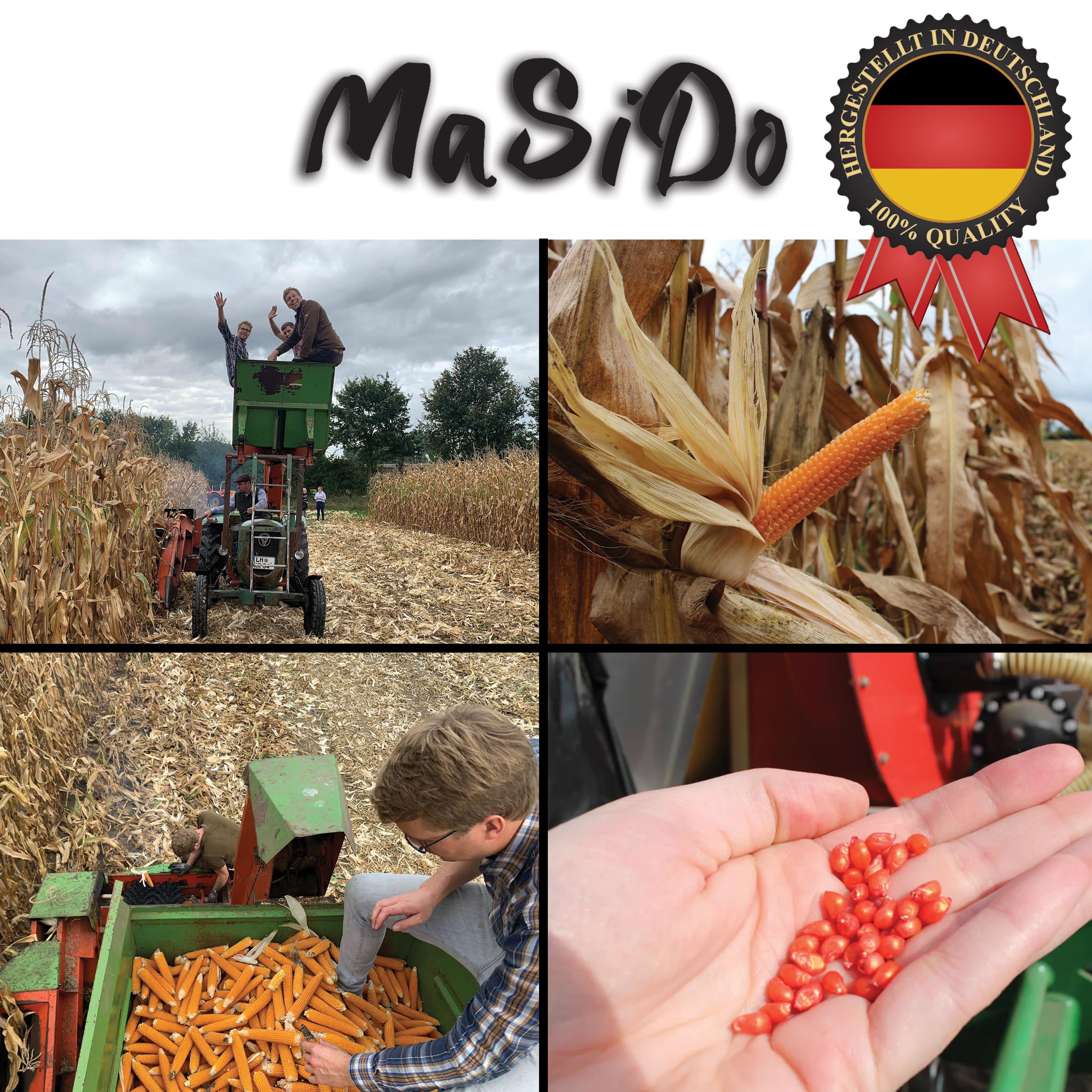 MSD MaSiDo maïs à pop-corn premium salé d'Allemagne avec sel de l'Himalaya, maïs Butterfly en pack économique, sans OGM, végétalien, sans gluten, sans lactose (2x 0,5 kg paquet salé)
