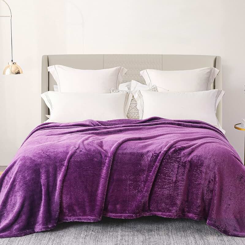 Amazon.com: queen size purple blanket