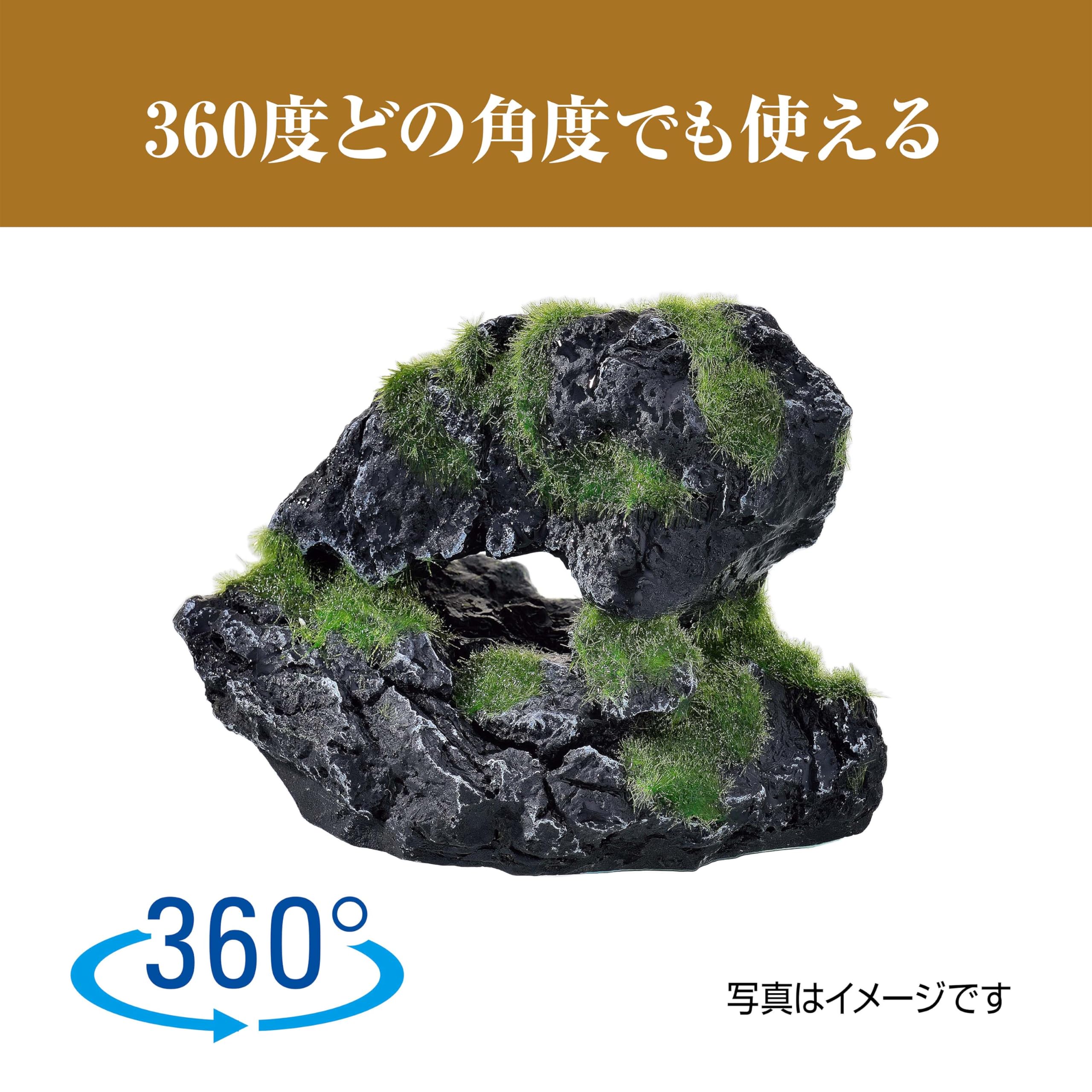 Amazon.co.jp: 癒し水景 モスロックCave : ホーム＆キッチン