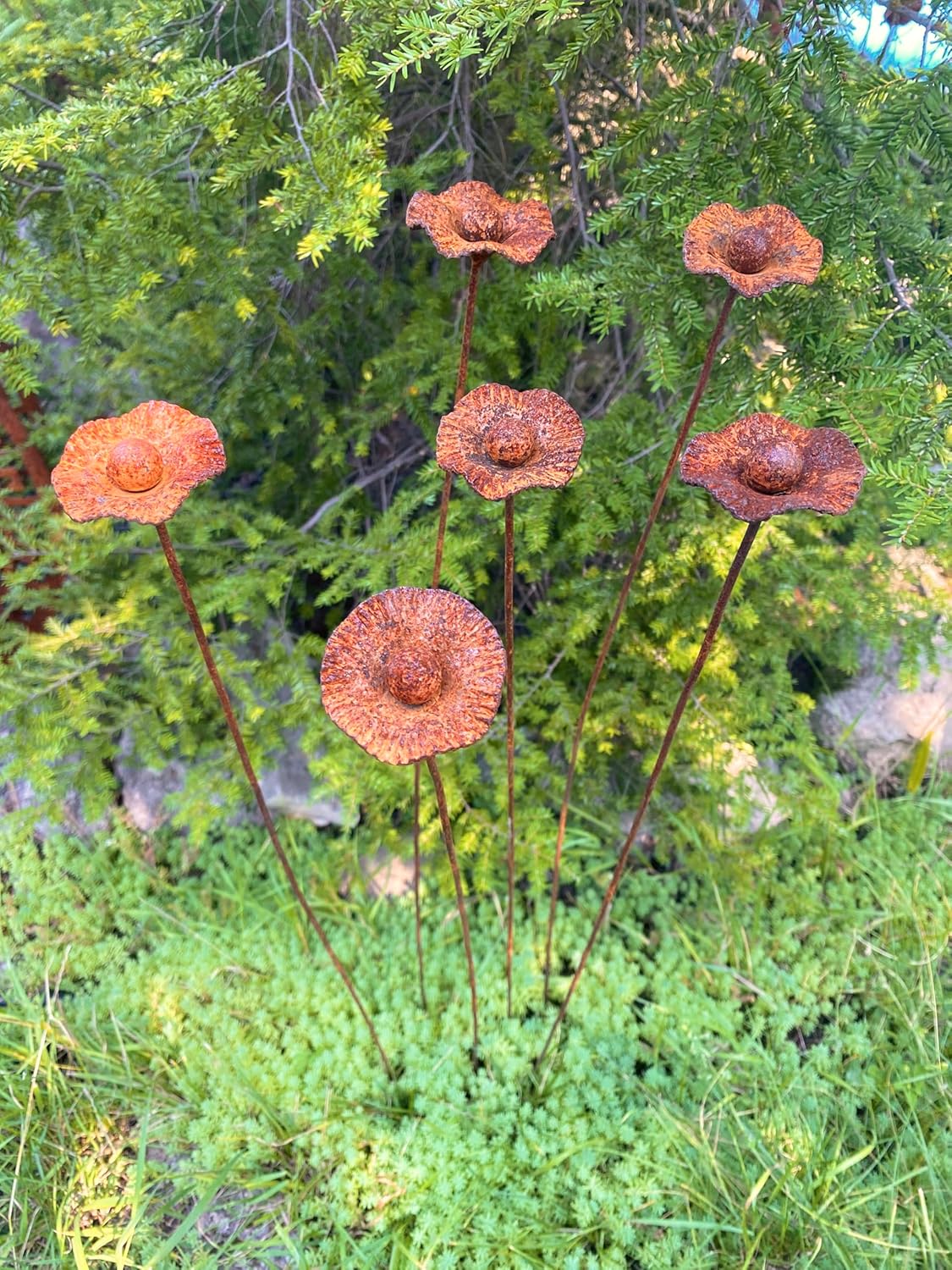 Rusty Flowers Set of 6, Poppy Flowers Garden Stakes, Metal Garden Decor, Yard Art, Outdoor Decor
