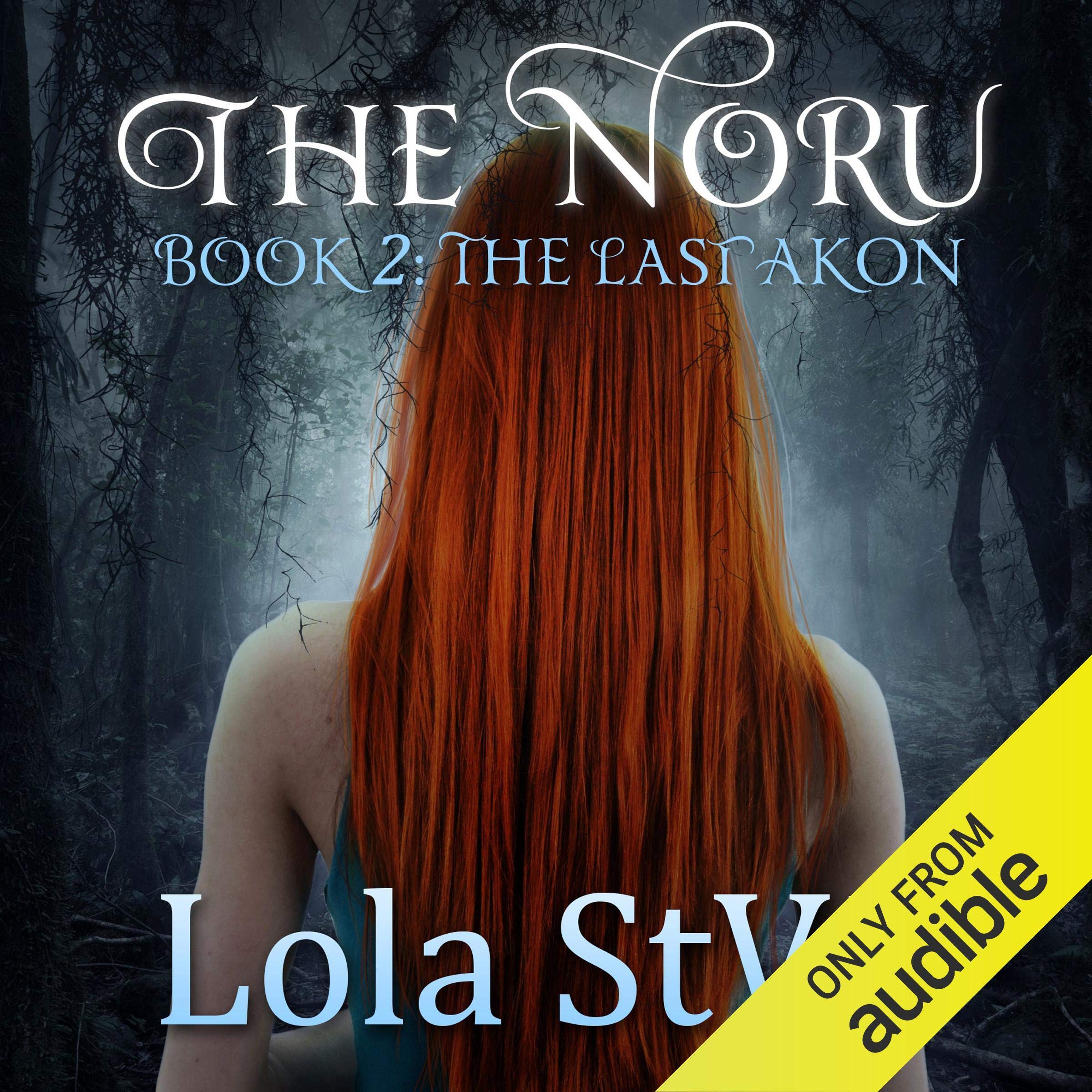 Cover art for The Last Akon