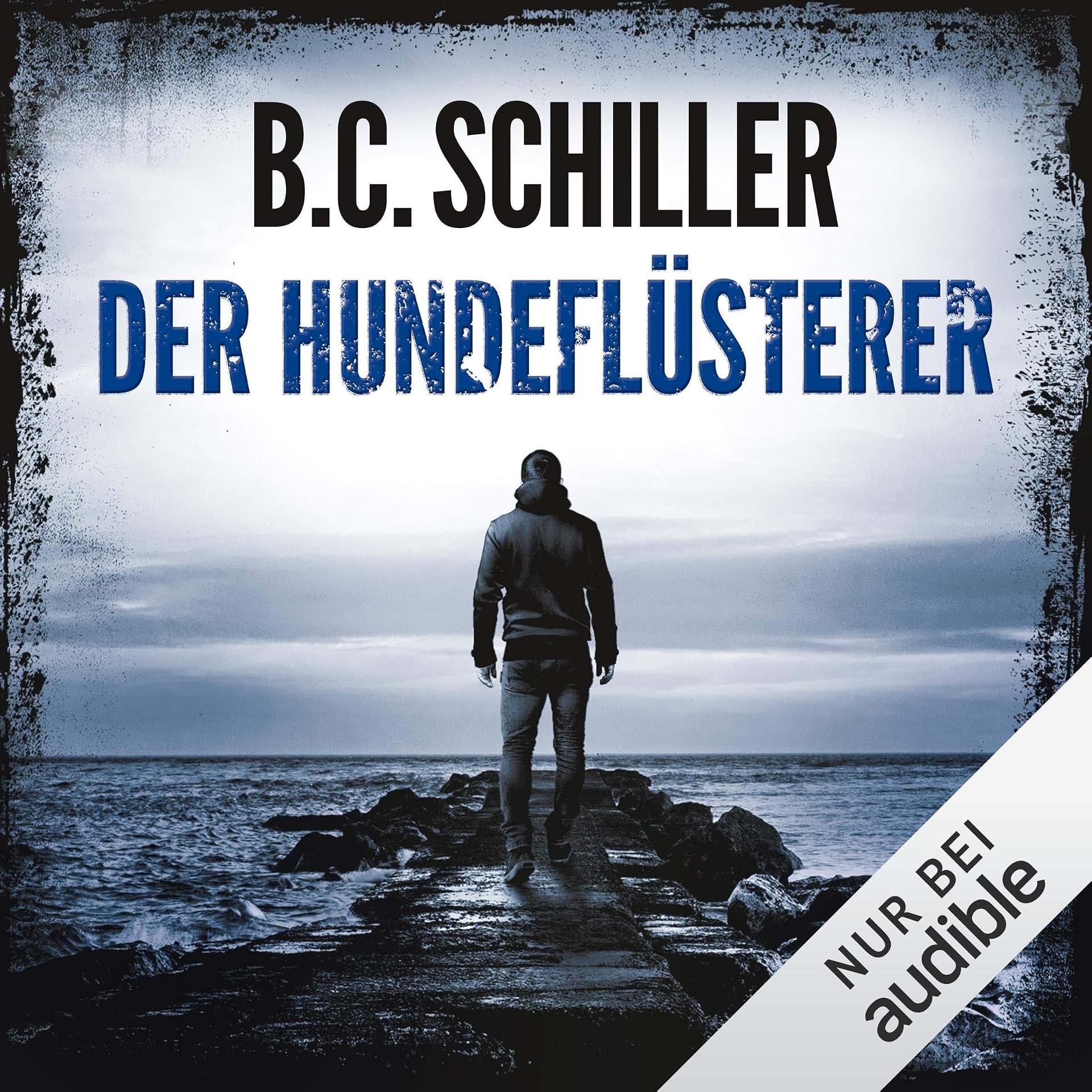cover-image
