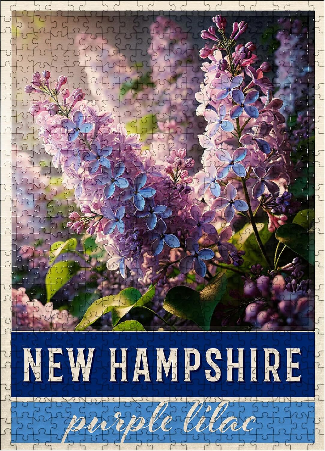 MyPuzzle State Flowers Series: New Hampshire, Lilac - Premium 500 Piece Jigsaw Puzzle for Adults