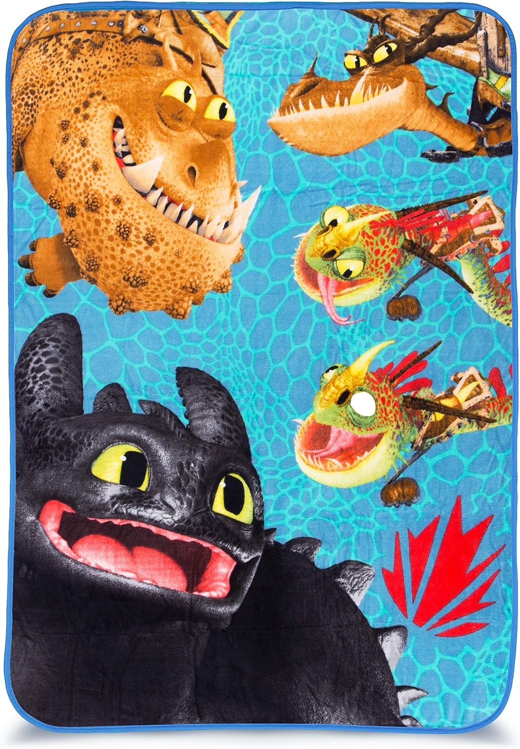 Franco Kids Bedding Super Soft Plush Throw, 46" x 60", How to Train Your Dragon,A39088