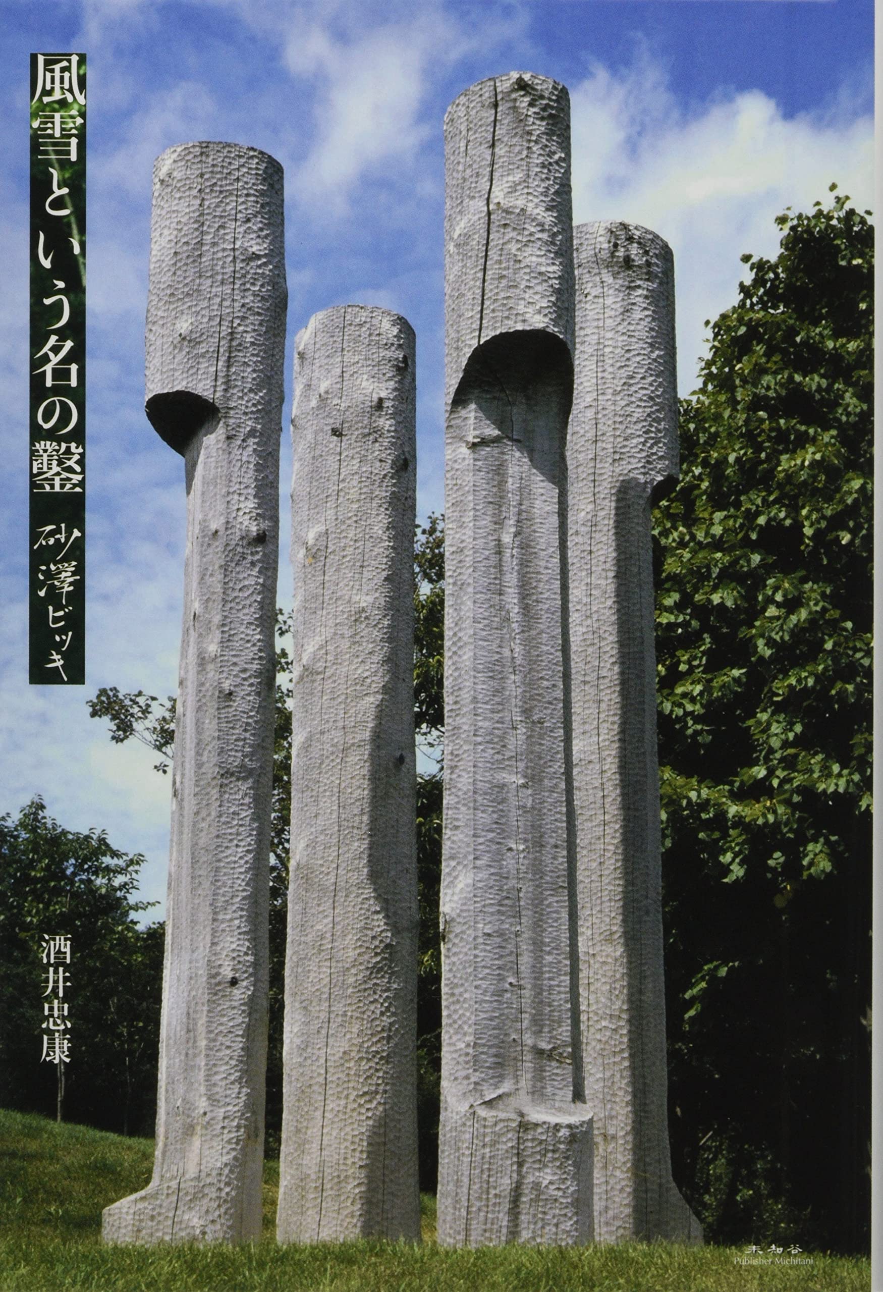 Amazon.co.jp: 風雪という名の鑿 (砂澤ビッキ) : 酒井忠康: 本