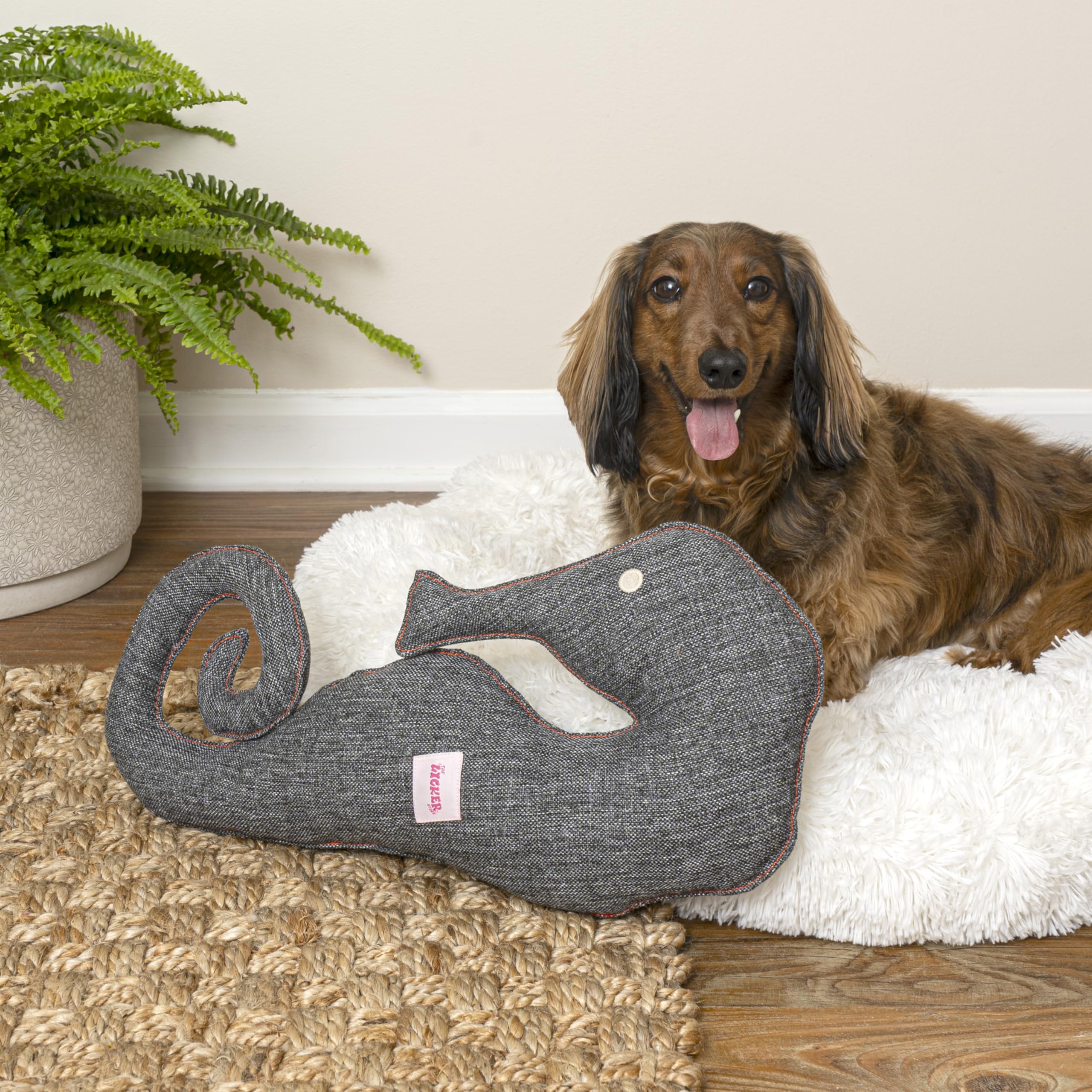 DTY1003A-S-3SET Edisto Hundespielzeug-Set mit Nasenarbeit, Chenille, mit Quietschelement, klein, Küstenmotiv, Mehrfarbig, 3 Stück