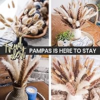 Vista 5 de Decoración de hierba seca de las pampas, 60 piezas de pampa marrón natural, hierba de pampa blanca y colas de conejo, flores secas, decoración