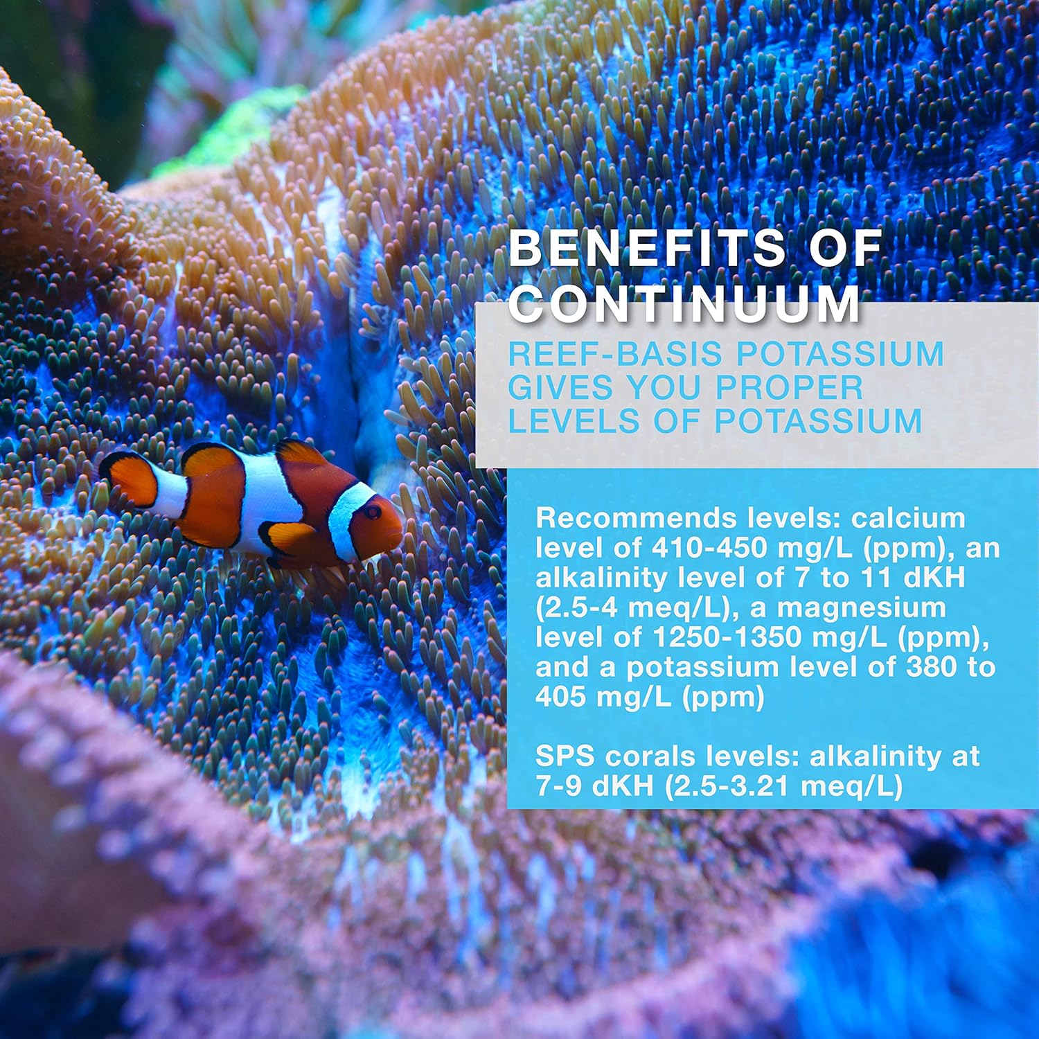 Continuum Aquatics Reef Basis Potassium - Potassium Powder for Marine Fish and Reef Saltwater Aquariums