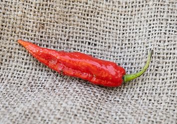 Ghost Pepper Bhut Jolokia Heirloom Pepper Premium Seed Packet + More