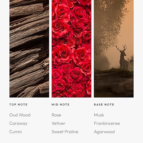 Vista 85 de Aroma360 - Mezcla de aceites aromáticos My Way Inspirado en hoteles para difusores de aceites esenciales de lujo Aceite difusor de aroma