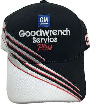 Dale Earnhardt Sr. #3 The Intimidator 