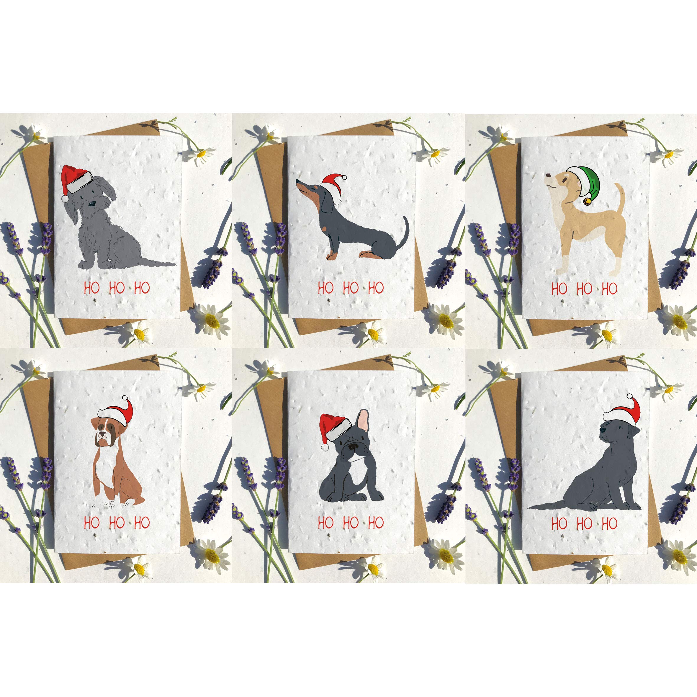Biodegradable seed paper Christmas festive plantable season greetings card traditional Black chihuahua (Pack of 6)