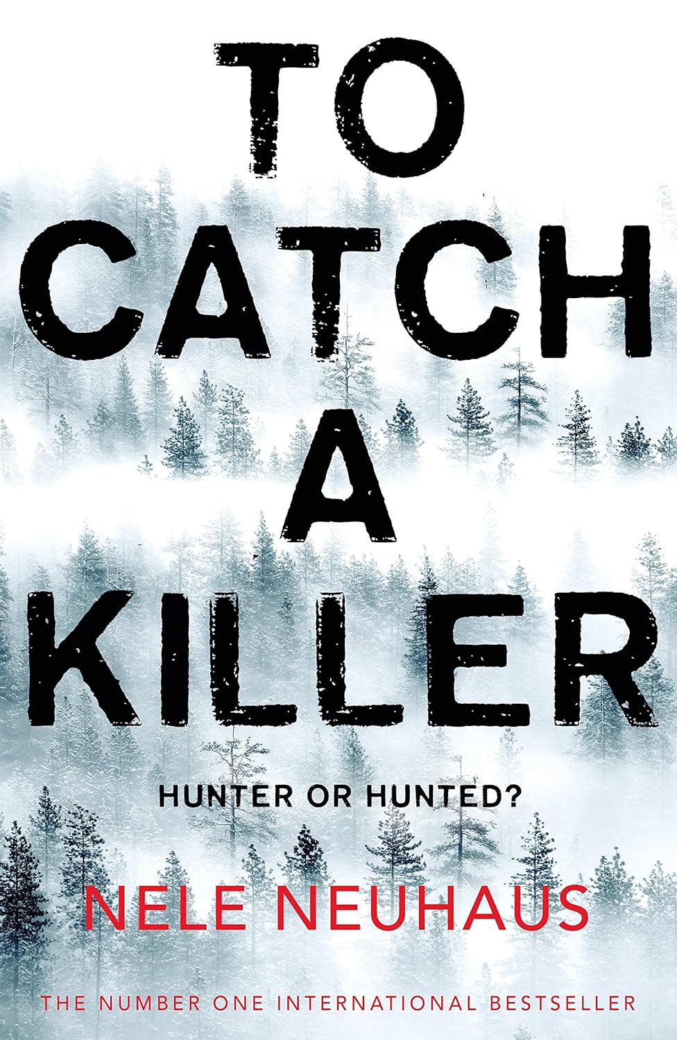 To Catch A Killer (Bodenstein & Kirchoff series): Neuhaus, Nele ...