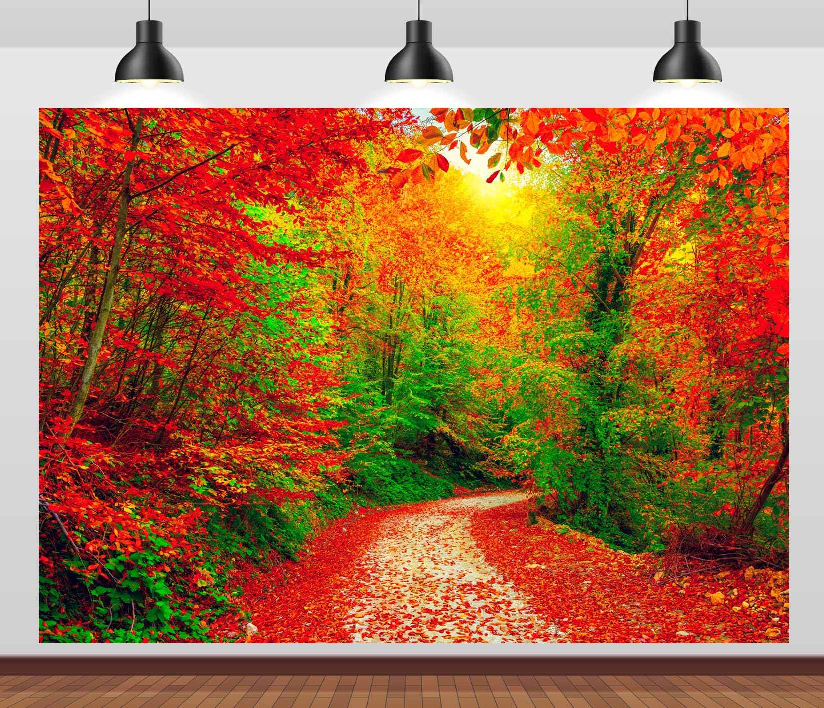 10x8FT Sendero Soleado Bosque Otoñal Fondo Fotográfico