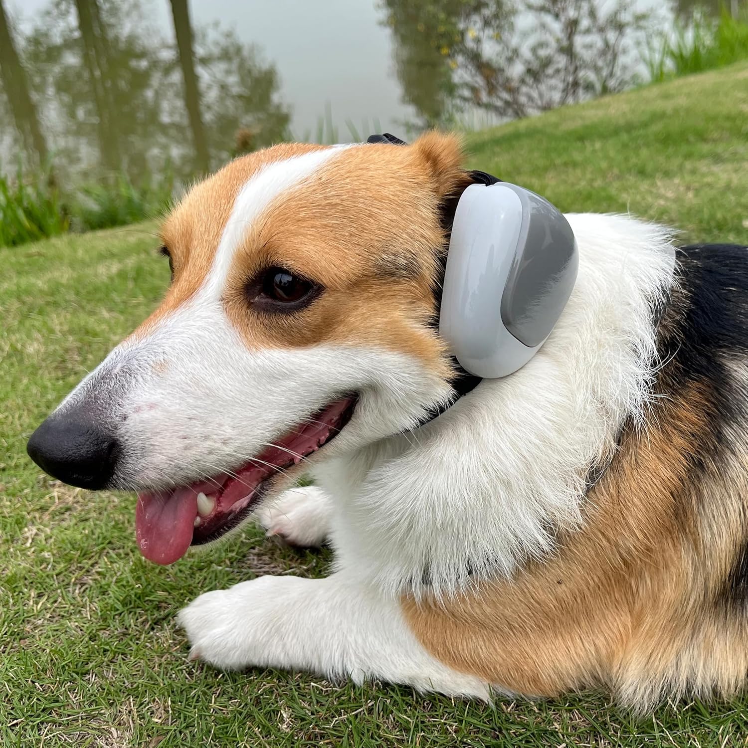 derYEP Dog Earmuffs GEN2 for Hearing Protection 30dB NRR Ear Muffs Noise Protection (Small, Deep Forest)