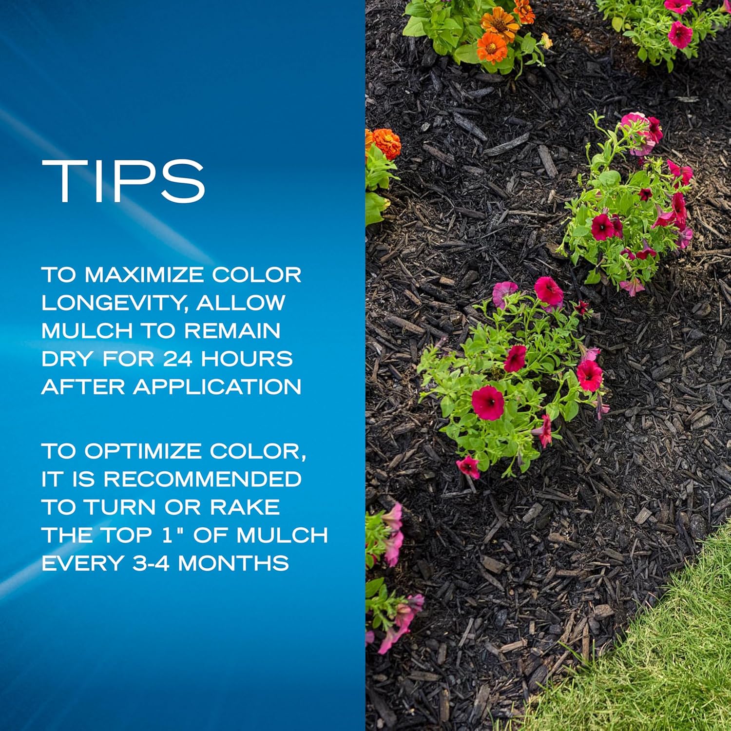 Scotts Nature Scapes Color Enhanced Mulch Classic Black - Wood Shredded and Bagged, Black Mulch for Landscaping, Bulk Pallet, 1.5 cu. ft. (80-Bag Pallet)