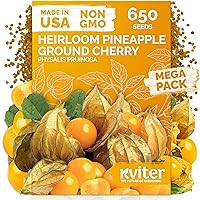 Vista 13 de KVITER 75 semillas de cucamelón para plantar (Melothria Scabra) – Semillas de pepinillo agrio mexicano, pepino de pepinillo, mini sandía mexicana
