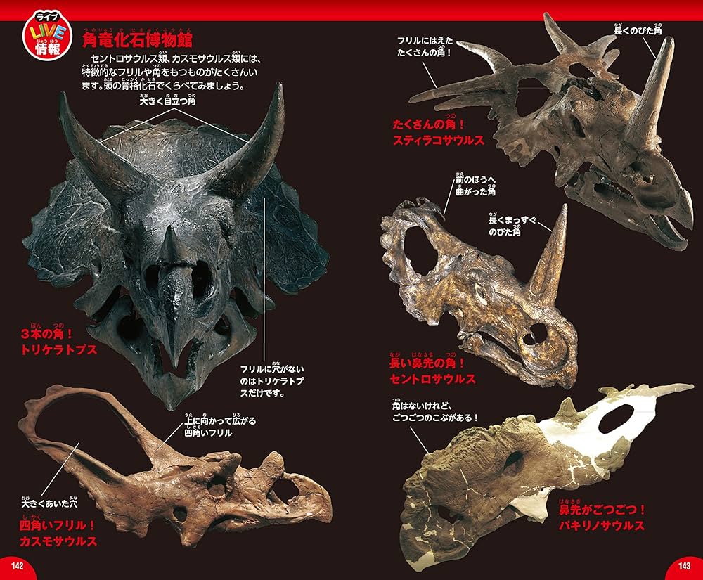 中国 足付四方盤　f2220720 Amazon.com: 恐竜 (学研の図鑑ライブポケット) (学研の図鑑LIVE