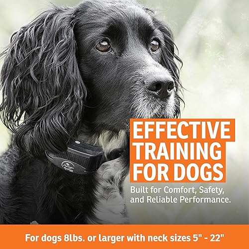 Miniatura 3 de SportDOG Brand YardTrainer - Entrenadores remotos familiares, recargables, impermeables, collares de entrenamiento para perros con estática,