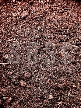 Imported Sphagnum Plant Growing Peat - Insect Does Not Make Flies Premium Quality 5 Lt