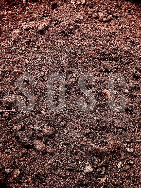Imported Sphagnum Plant Growing Peat - Insect Does Not Make Flies Premium Quality 5 Lt