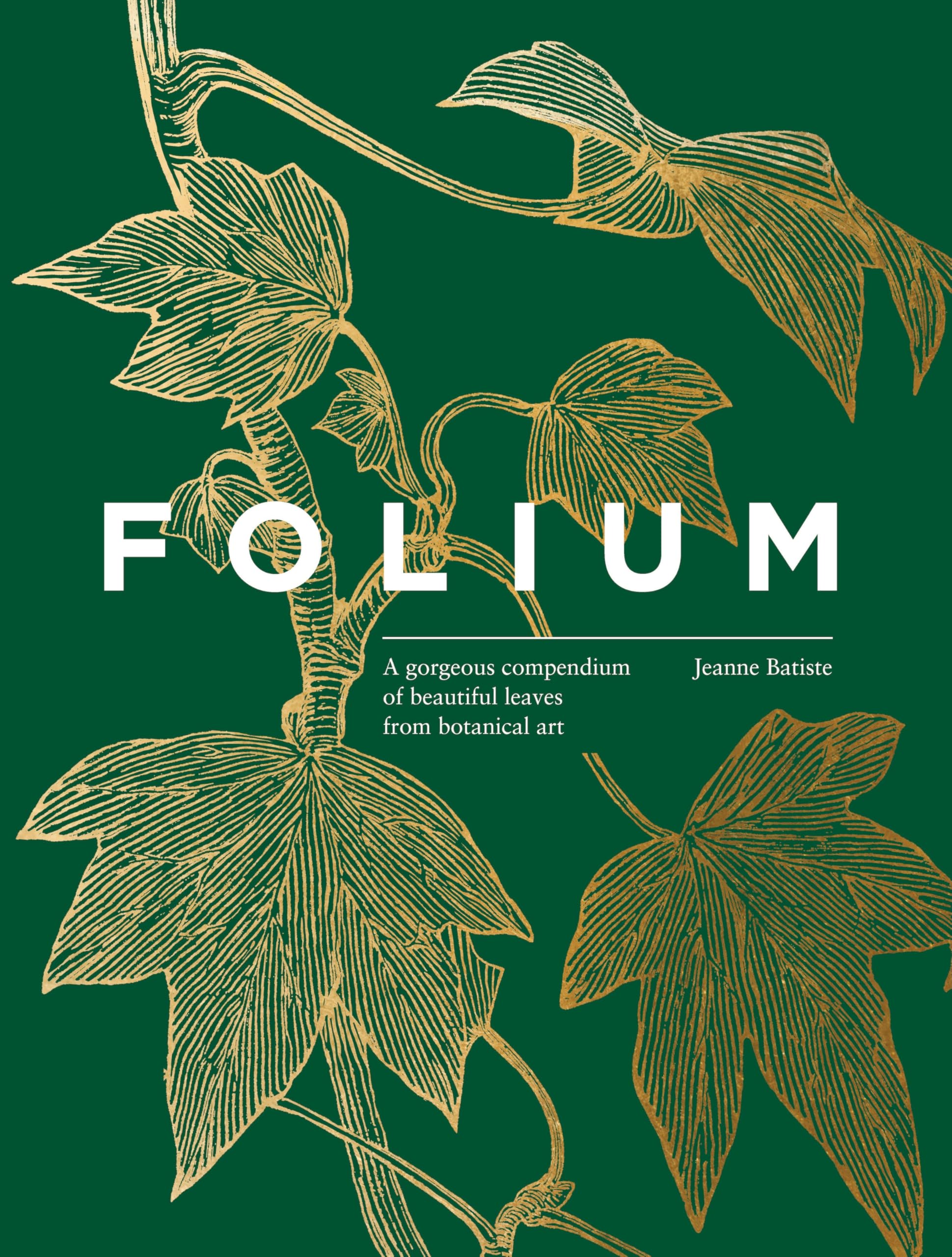 Folium: A gorgeous compendium of beautiful leaves from botanical art