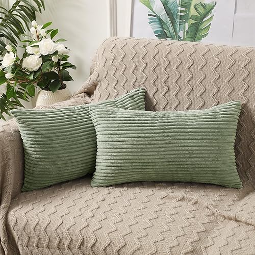 BeBen Juego de 2 fundas de almohada decorativas de 12 x 20 pulgadas, fundas cuadradas de pana suave, decoración del hogar para sofá, cama,