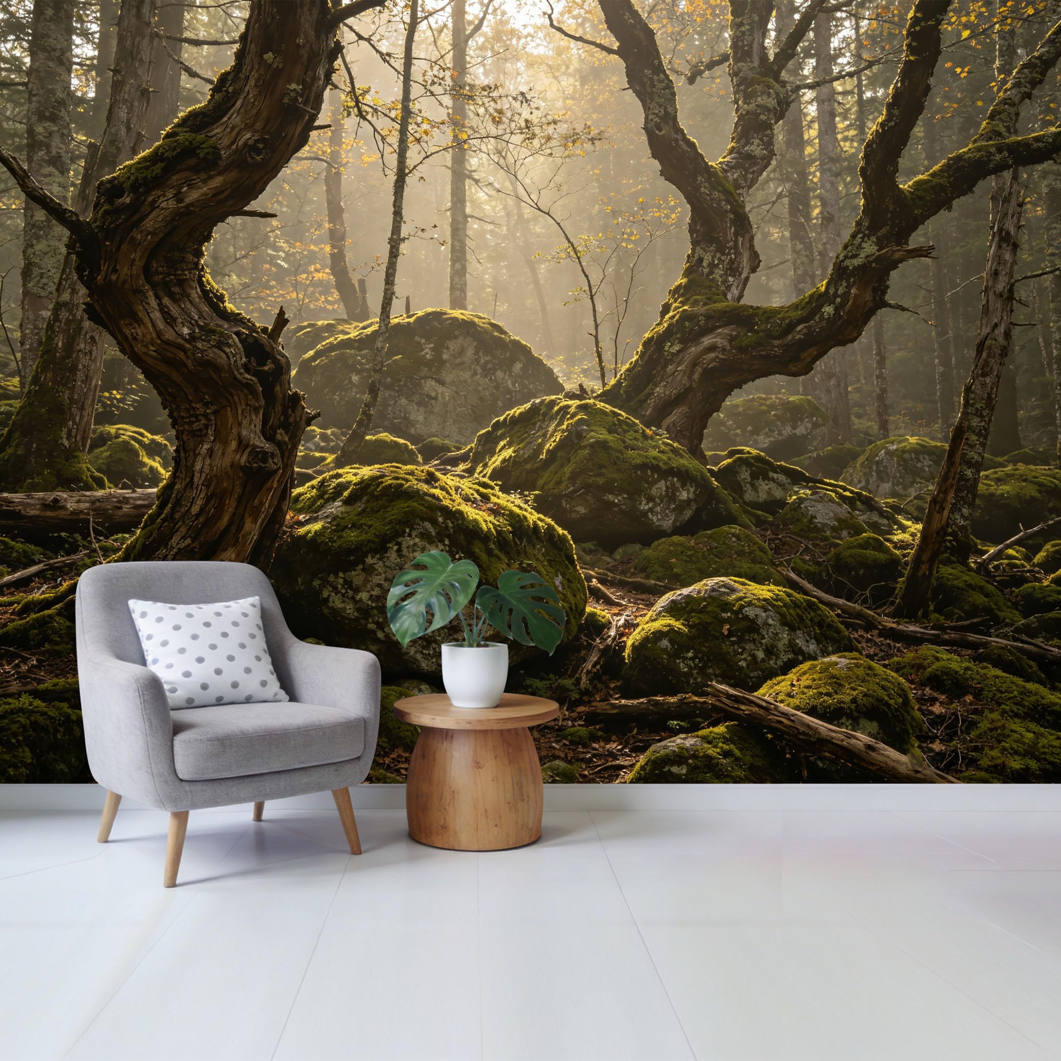 Custom Size Wall Mural Enchanted Ancient Forest Sunlit Mossy Stones Landscape 3D Visual Effect SelfAdhesive Wall Fabric Removable Wallpaper for Home Office Decor