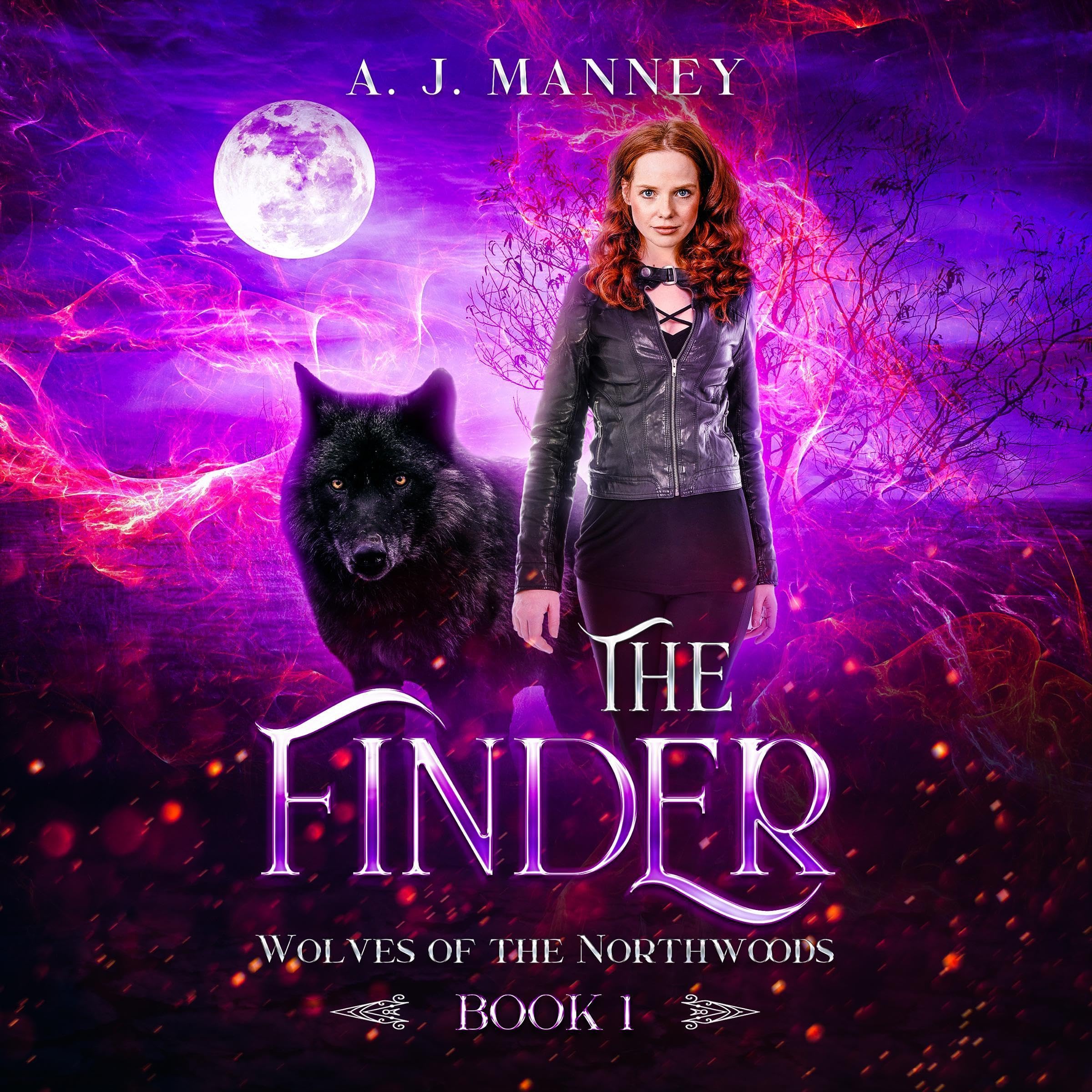 Cover art for The Finder