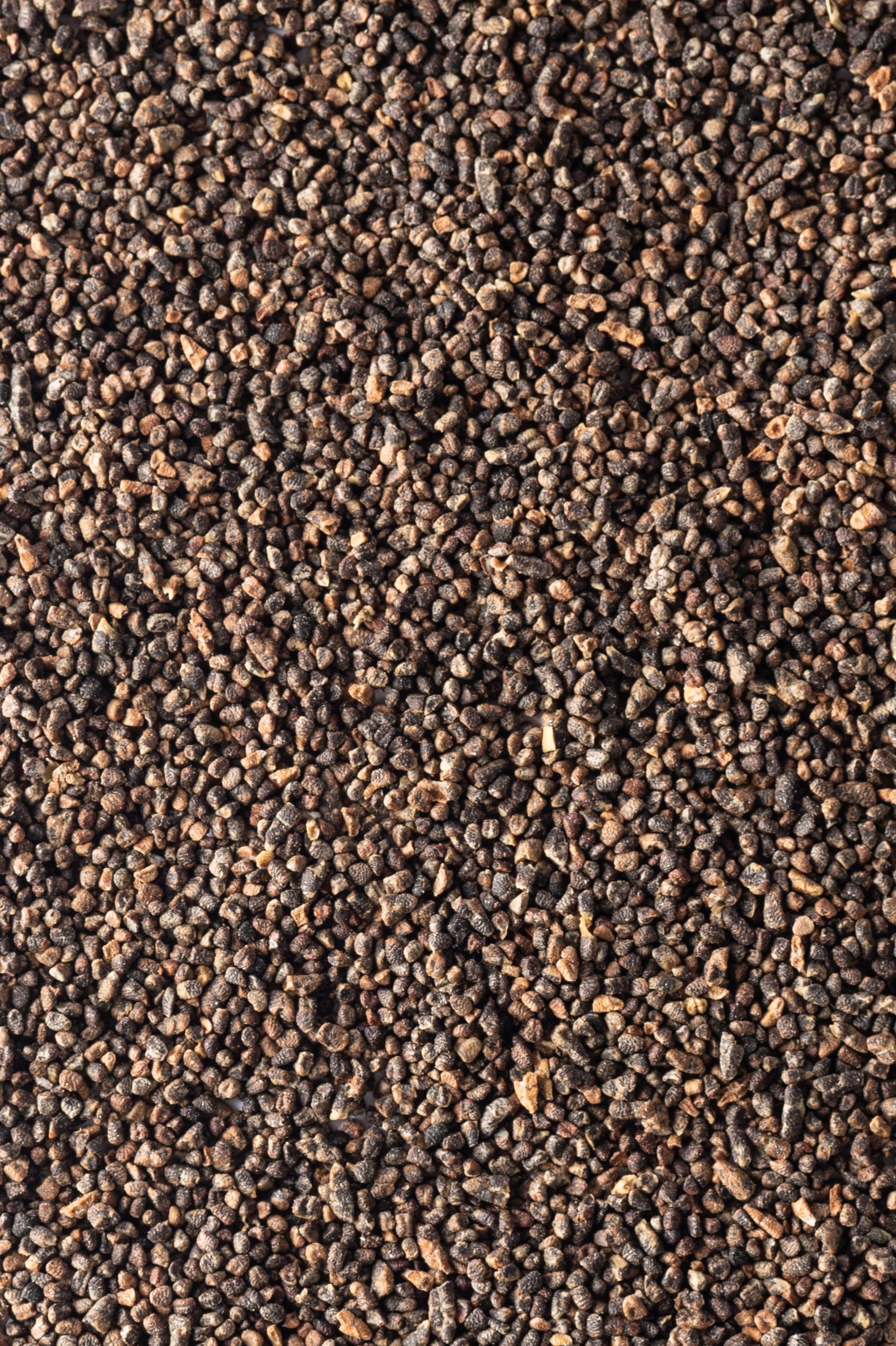 Biojoy Cardamomo semi BIO (250 g), interi e sgusciati (Elettaria cardamomum)