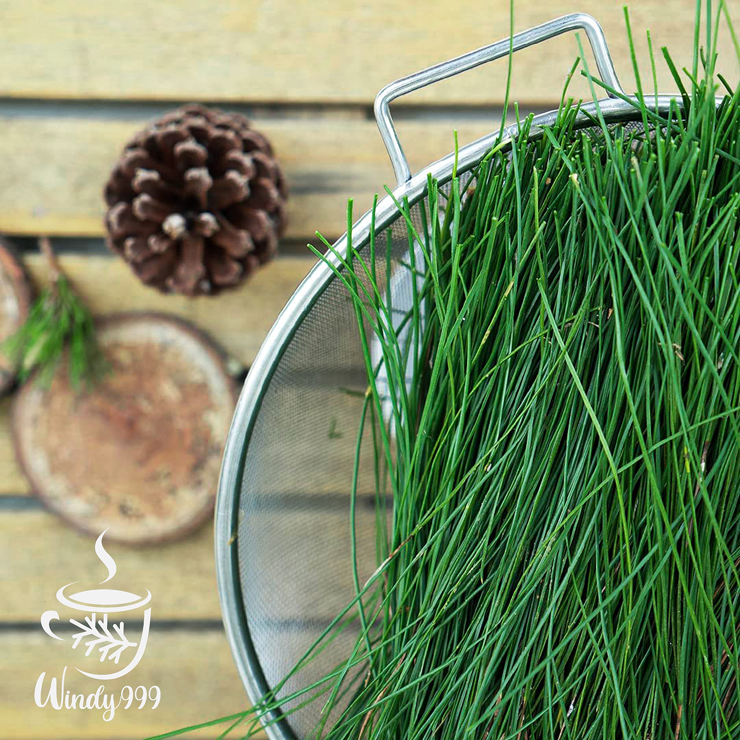 Fresh White Pine Needle Tea, Pine Needle for Tea, Pine Needle Tea Organic, White Pine Needle Tea