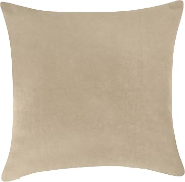 Pack of 1 Velvet Decorative Throw Pillow Cover 20x20 Inches, Cushion Cover Set for Home Sofa, Couch, Bedroom, Living Room, Soft and Breathable Fabric, Hidden Zipper Beige, 20" x 20"