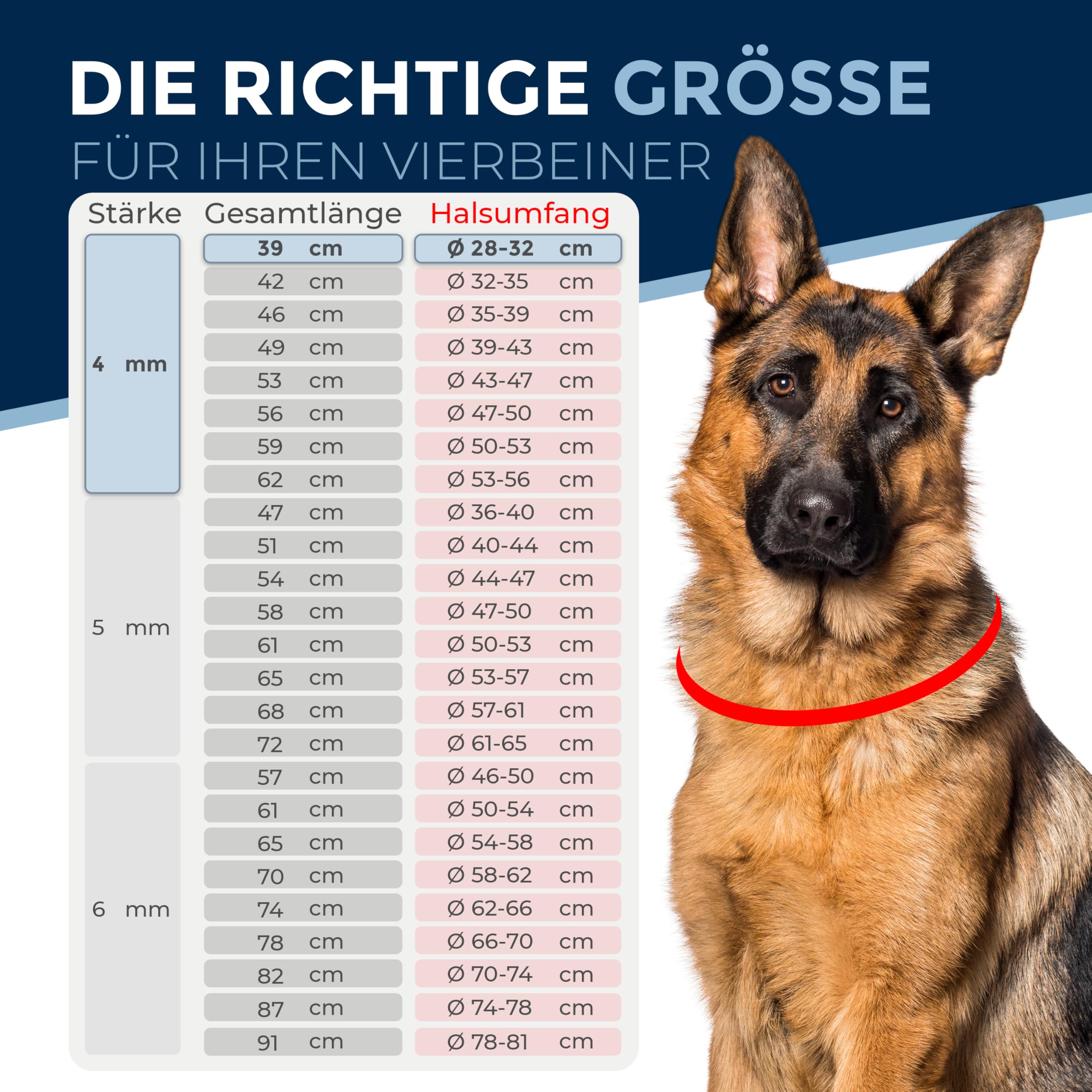 Collier chaîne pour Chien en Acier Inoxydable – Collier combiné avec Mousqueton, Anti-Traction, maillons Longs, 4 mm, 39 cm