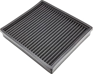 Ramair Filters PPF-2008 - Filtro de aire para panel de repuesto, color negro, talla única