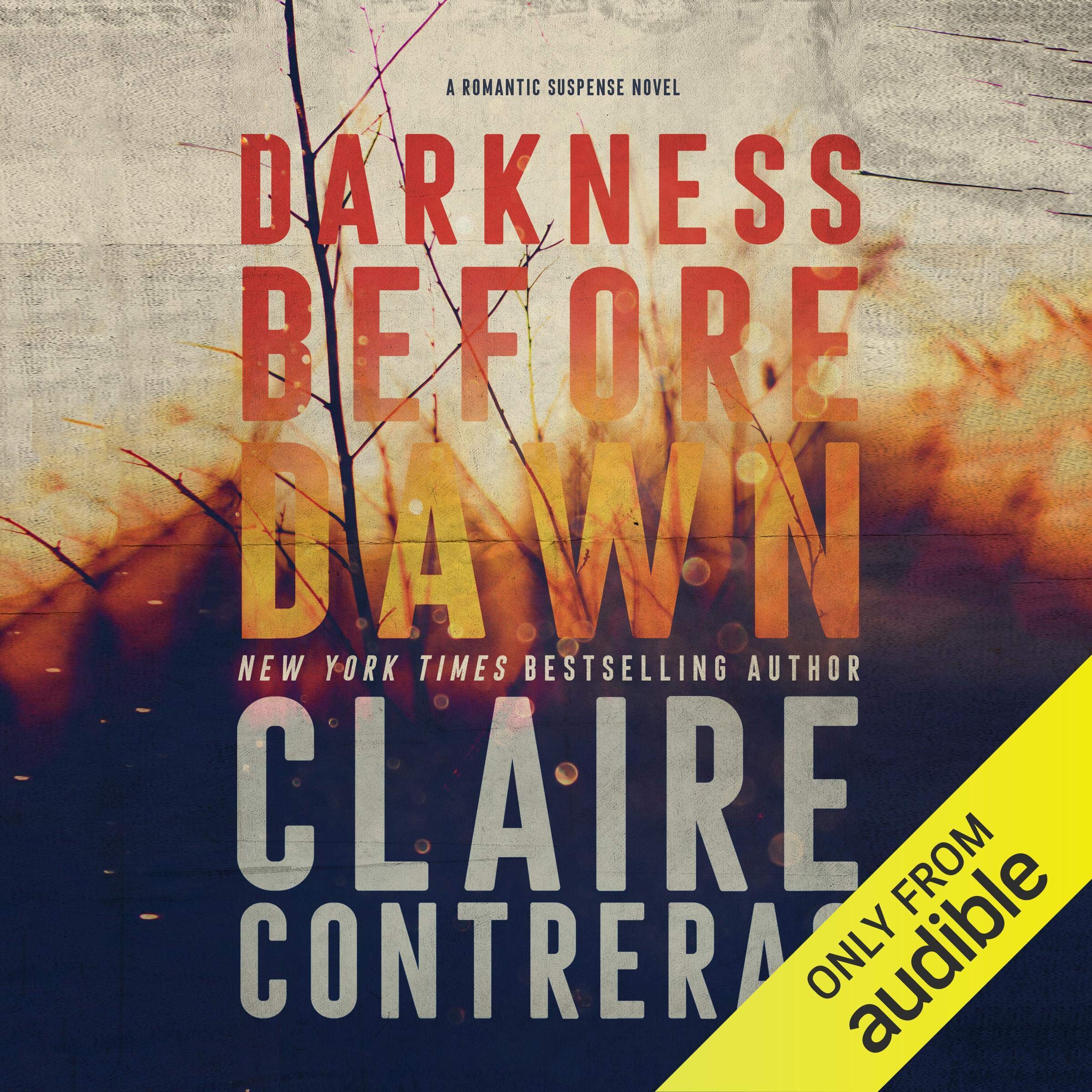 Cover art for Darkness Before Dawn